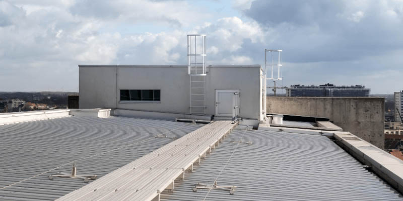 Keeping Your Roof and Walkways Safe